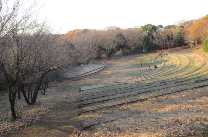 公園　都筑中央公園（公園）まで642m