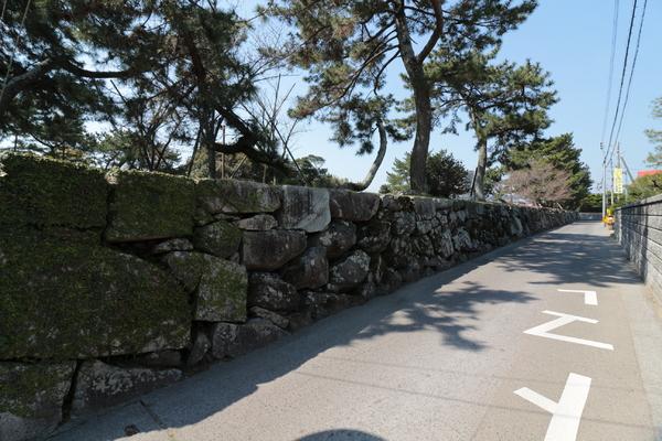 【隆成ホーム西の浜の幼稚園・保育園】