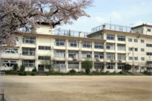 中学校　練馬区立豊玉中学校（中学校）まで841m