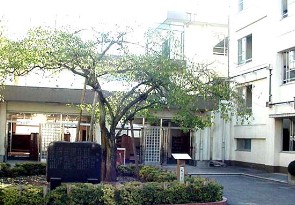 小学校　練馬区立豊玉東小学校（小学校）まで501m