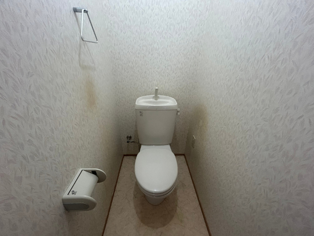 トイレ　トイレバス別です。