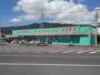 ドラックストア　コスモス 日出店（ドラッグストア）まで500m