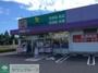 ドラックストア　ウェルパーク稲城向陽台店（ドラッグストア）まで2054m