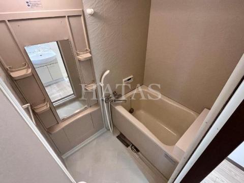 バス・シャワールーム　同物件別部屋です