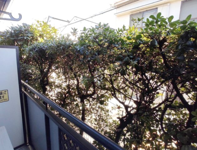 眺望　メゾンクアトロ