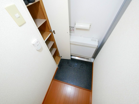 玄関　落ち着いた玄関です