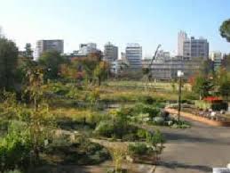 公園　中目黒公園(花とみどりの学習館)（公園）まで1422m