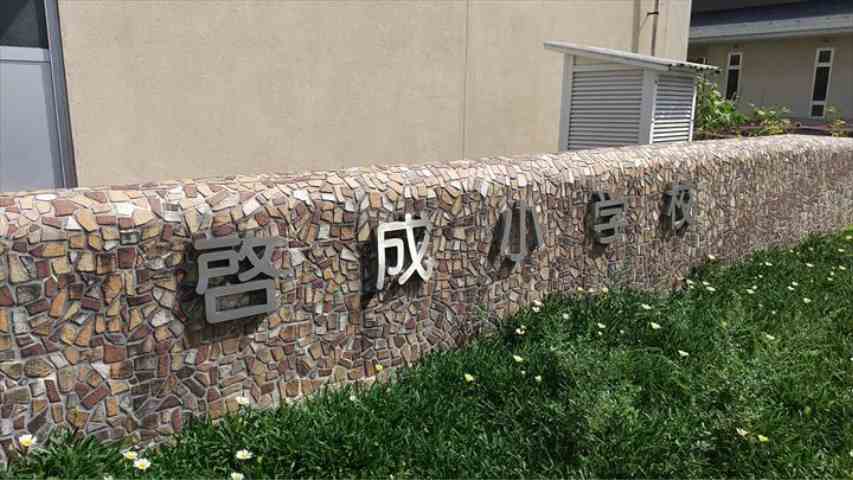 小学校　啓成小学校（小学校）まで347m