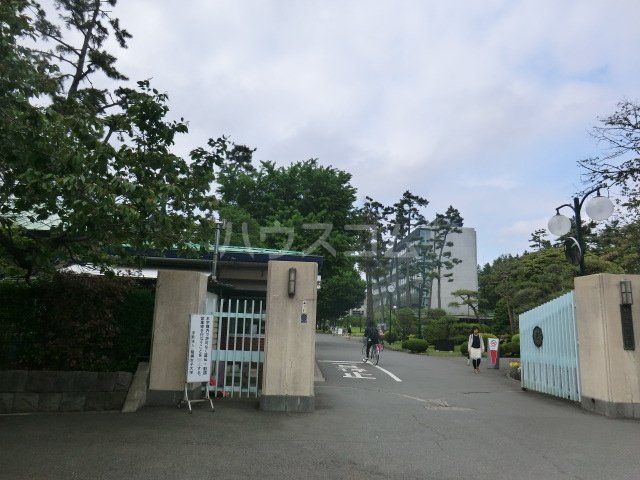 幼稚園・保育園　相模女子大学幼稚部（幼稚園・保育園）まで657m