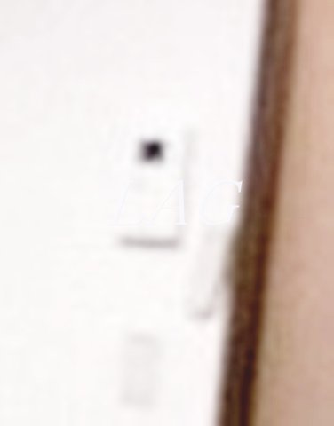 セキュリティ　モニター付きインターフォンです。