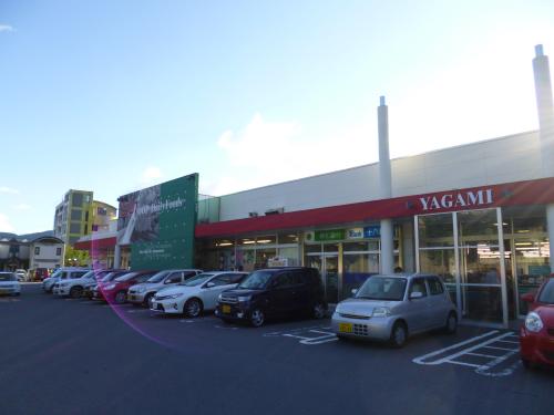 スーパー　ララコープ LaLa(ララ) 矢上（スーパー）まで331m