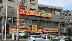 ドラックストア　どらっぐぱぱす西馬込店（ドラッグストア）まで810m