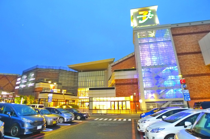 ショッピングセンター　セブンパークアリオ柏（ショッピングセンター）まで1017m