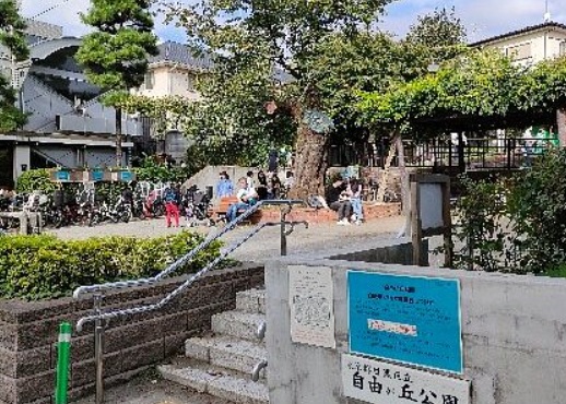 公園　自由が丘公園（公園）まで519m