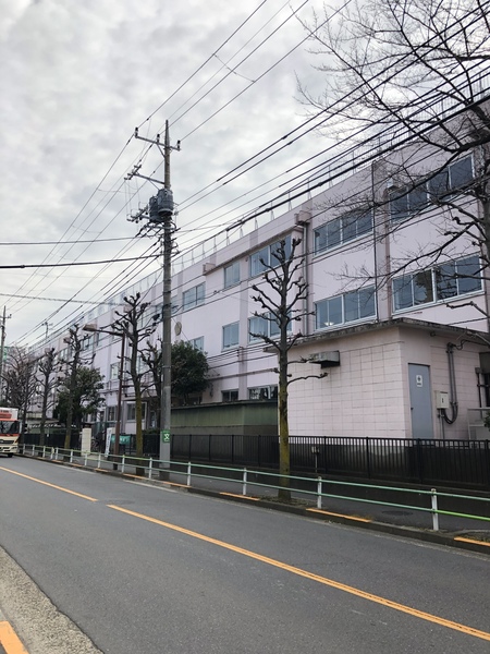 中学校　葛飾区立大道中学校（中学校）まで842m