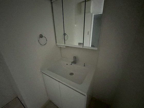 洗面設備　※別号室の写真です
