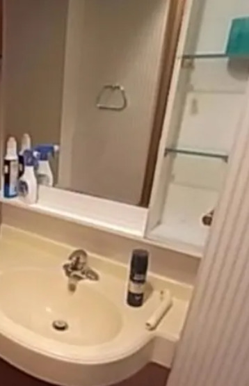 洗面設備　※別部屋参照