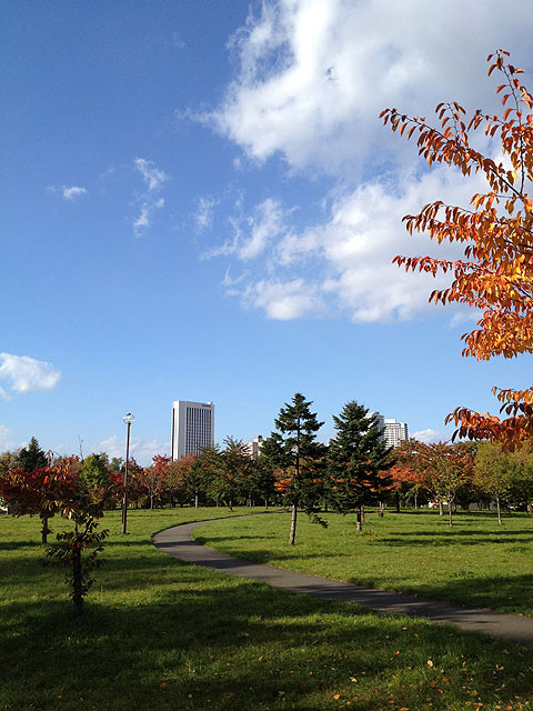 庭　中島公園　徒歩１分