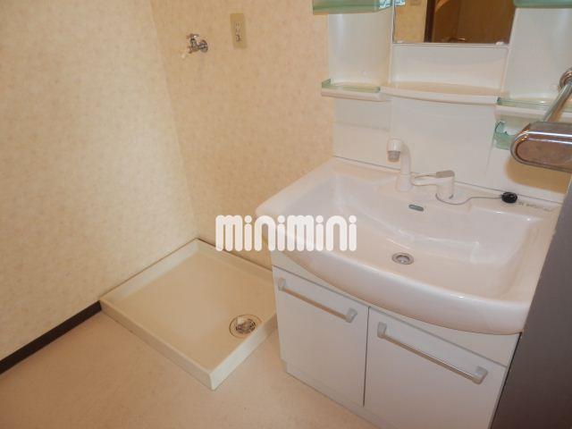 洗面設備　シャンプードレッサーと室内洗濯機置場です。