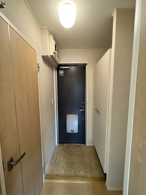 玄関　クリーニング前の写真になります。