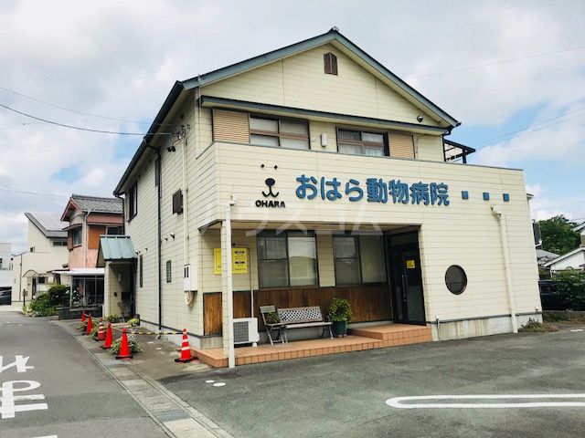 病院　おはら動物病院（病院）まで1234m