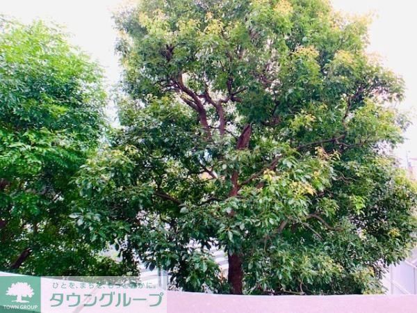 眺望　お部屋探しは株式会社　タウンハウジング　までお気軽にお問合…