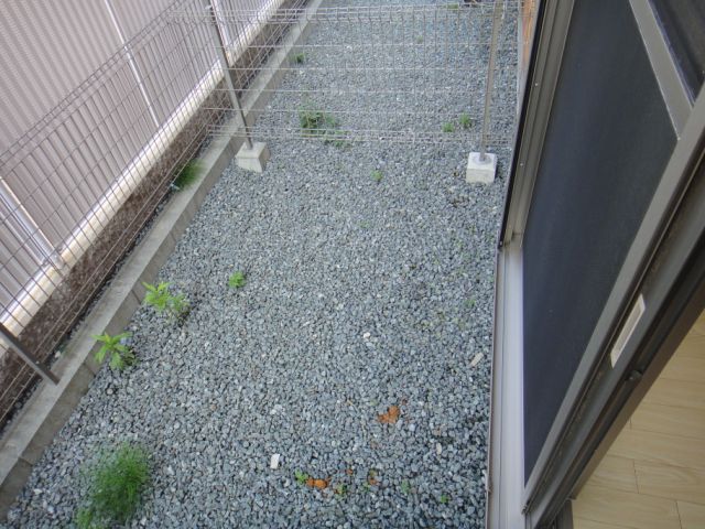 庭