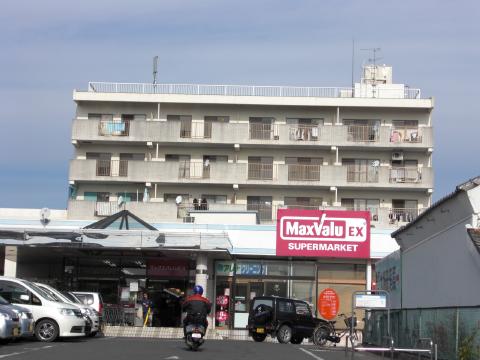 スーパー　マックスバリュEX 磐田見付店（スーパー）まで355m