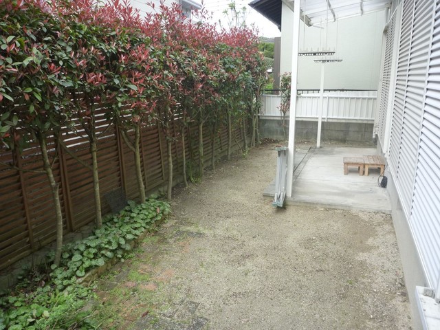 庭