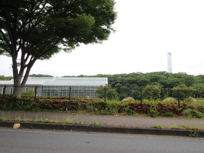 公園　相模原公園（公園）まで1480m