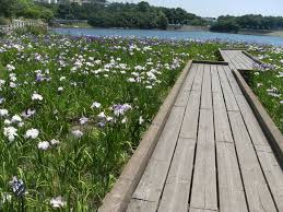公園　春日池公園（公園）まで1269m