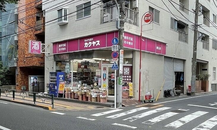 ショッピングセンター　カクヤス 豊玉店（ショッピングセンター）まで874m
