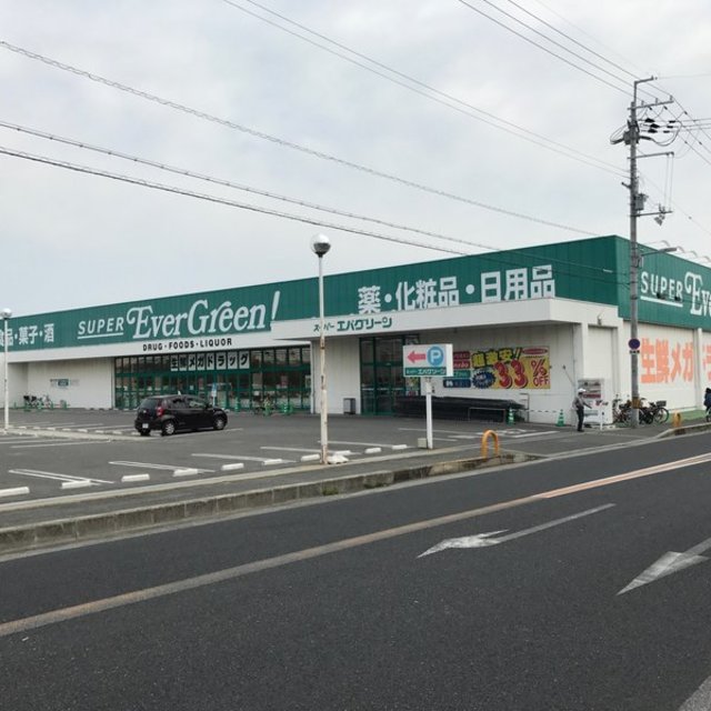 ドラックストア　スーパーエバグリーン泉南店（ドラッグストア）まで516m