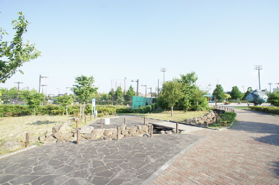 公園　秦野市立おおね公園（公園）まで959m