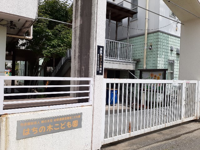 幼稚園・保育園　はちの木こども園（幼稚園・保育園）まで600m
