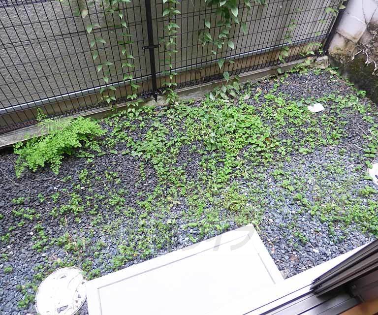 バルコニー　広々としたバルコニーです。
