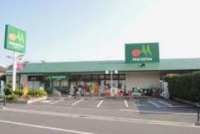 スーパー　マルエツ伊興店（スーパー）まで450m