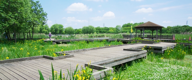 公園　舎人公園（公園）まで950m