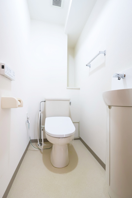 URサンヴァリエ日吉のトイレ写真