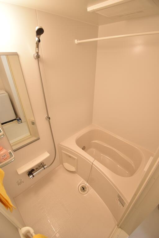 OSAKA CASTEL SHIRAHAMA PREMIERの風呂写真