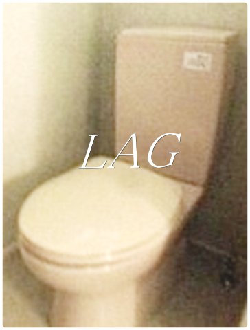 トイレ　トイレです。