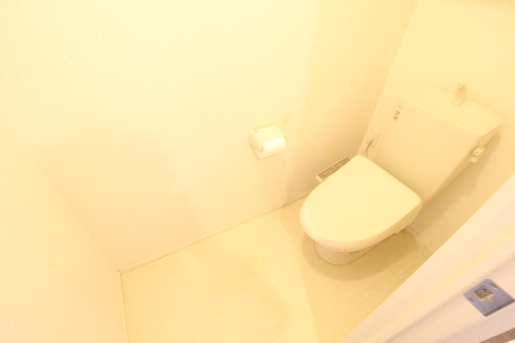 ＪＲ牟岐線 阿波富田駅 徒歩9分 2階建 築6年のトイレ写真