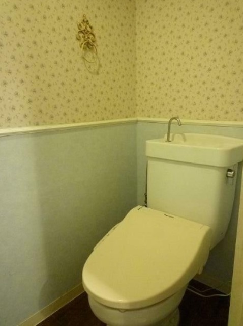 シャトーライフ相模原1のトイレ写真