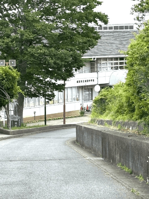 中学校　成田市立成田中学校（中学校）まで478m