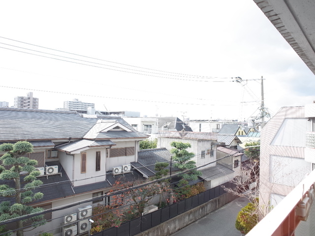 西北チェリーのその他写真