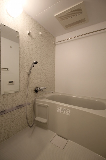 バス・シャワールーム　同物件、別号室のものです。