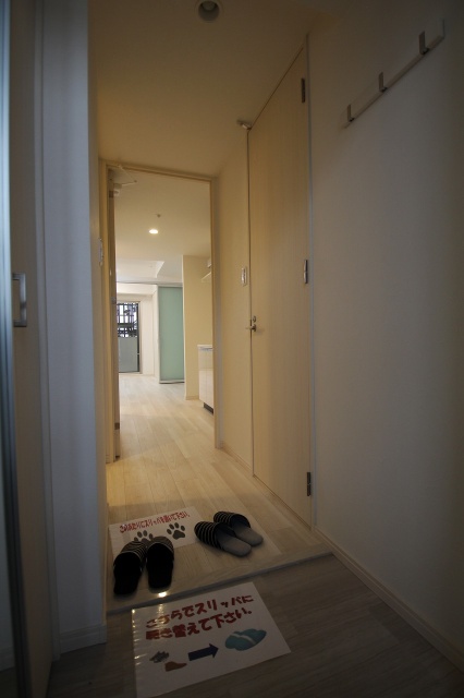 玄関　同物件、別号室のものです。