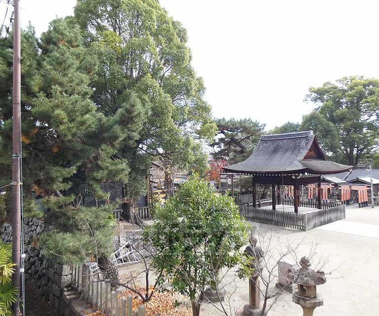 眺望