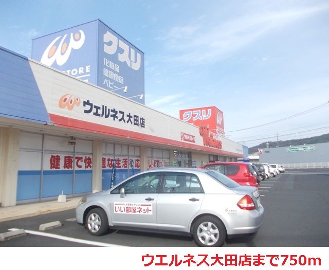 ドラックストア　ウエルネス大田店（ドラッグストア）まで750m