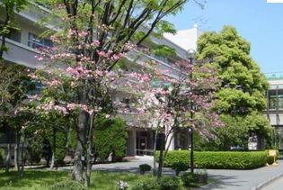 高校・高専　川口市立川口高等学校（高校・高専）まで397m